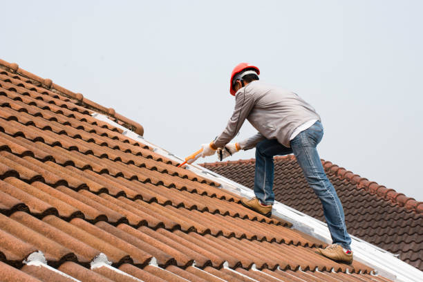 Fast & Reliable Emergency Roof Repairs in Palm Shores, FL